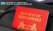 Профессиональная иммиграция в Сингапур
