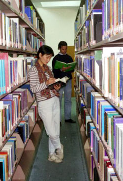Climbing the mountain of knowledge in our large library